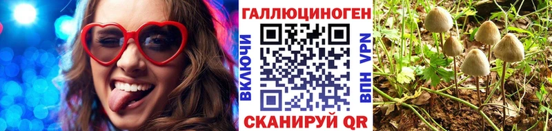Купить  Кириллов  Псилоцибиновые грибы мицелий 